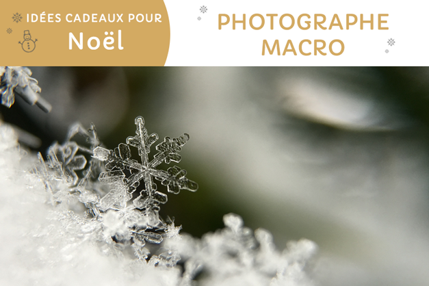 5 cadeaux de rêve pour le photographe macro