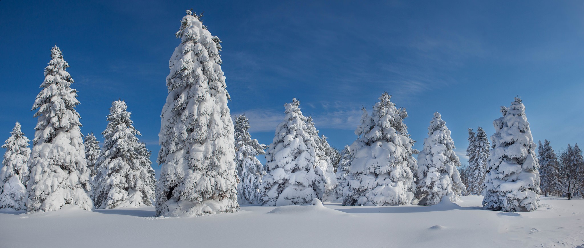 10 conseils pour améliorer vos photos d'hiver (I)