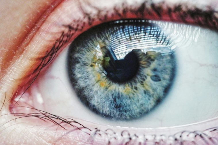 Des photos des yeux impressionnantes en 6 étapes