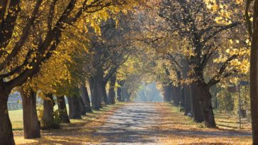 10 astuces pour des photos d'automne réussies (I)