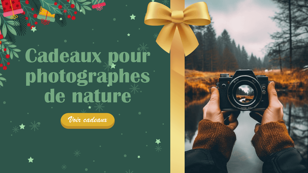 Toutes sortes de petits accessoires pour la photographie et le